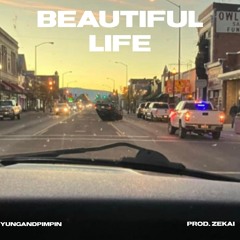 BEAUTIFUL LIFE (prod. ZEKAI)
