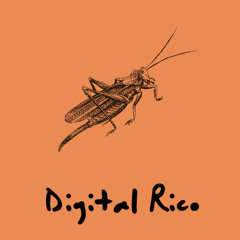 VAI DESCENDO [AUTOMOTIVO]