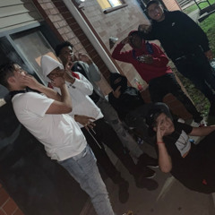 DOTTIE 187 X MIR B -GBG ANTHEM