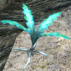 NIRNROOT(PROD. BRANWEN)