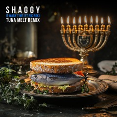 Shaggy - It Wasn't Me (ft Rik Rok) [Tuna Melt Remix] [Pitched for Soundcloud. Normal in Download]