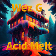 Wez G - Acid Melt