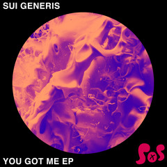 You Got Me (DJ Q Remix)