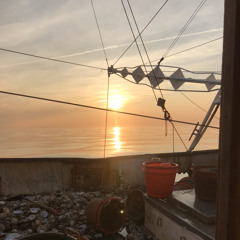 Can You See Me Ft Bustin and Lil Cliff (prod. Consent2K x Seph)