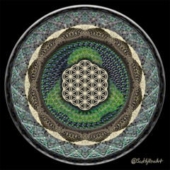 Introspection