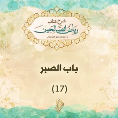 باب الصبر 17 - د. محمد خير الشعال