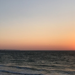 kodaline - all i want (phamkaa cover)