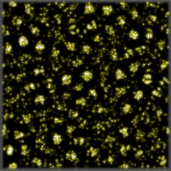 No Visitor On Business from Porlock, for MIDI piano