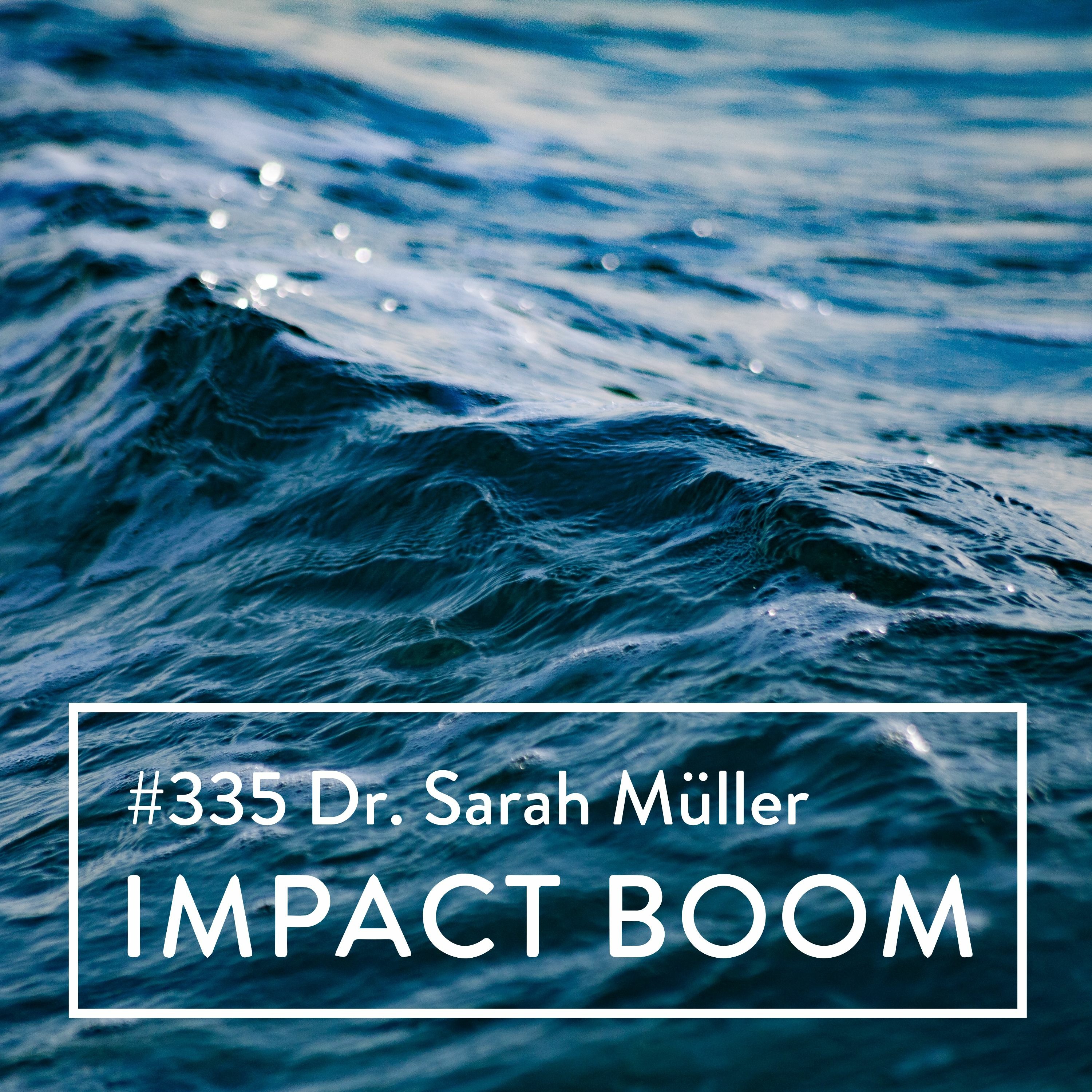 Episode 335 (2022) Dr. Sarah Müller On Implementing And Scaling Renewable Energy Solutions episode artwork