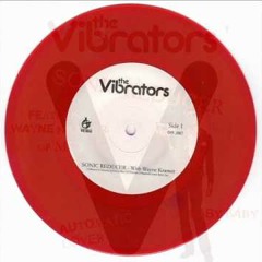 The Vibrators - Sonic Reducer ('07)