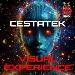 Visual Experience [5Dan records]
