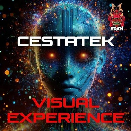 Visual Experience [5Dan records]