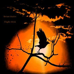Flight Risk
