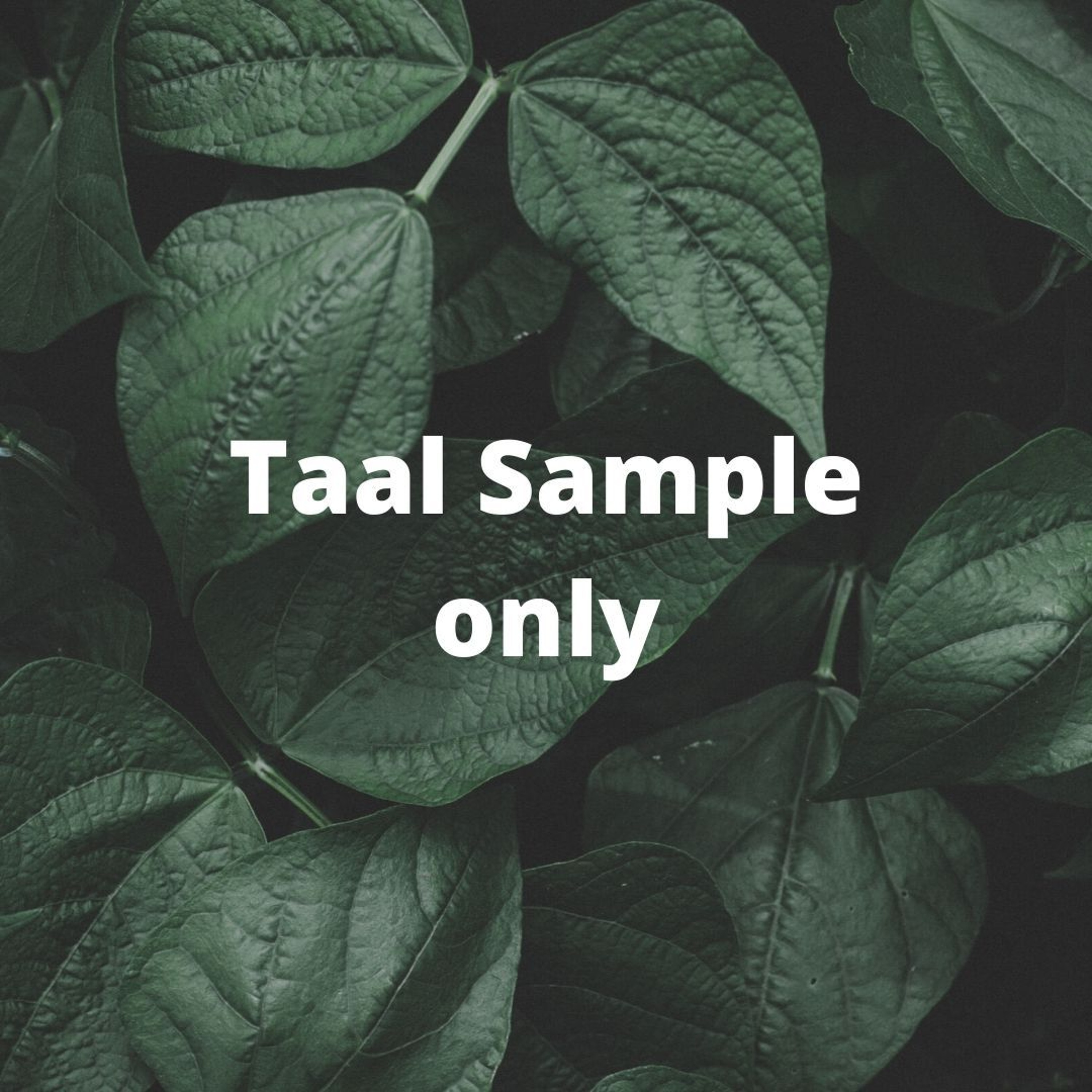 Taal sample only episode artwork