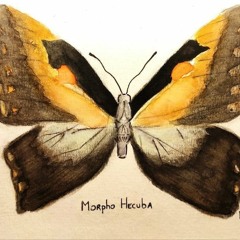 Demon's Dance - Trabendo Live