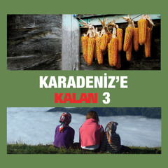 Dayan Yüreğim