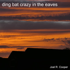 ding bat crazy in the eaves