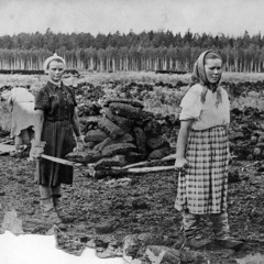 How Peat Electrified the USSR