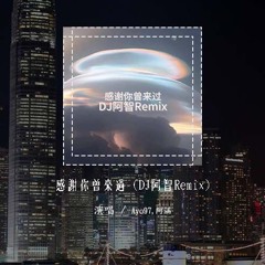 Ayo97,阿涵 - 感谢你曾来过 (DJ阿智Remix)「谁会不厌其烦的 安慰那无知的少年，我走进了你的世界 别怪我太耀眼」(4k Video)【動態歌詞/pīn yīn gē cí】