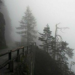 In my restless dreams, I see that town. Silent Hill