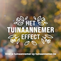 VLAM Commercial (Feat. Lieze Denckens, 2021)