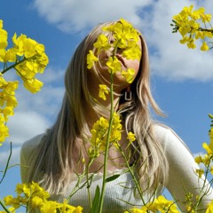 purpl - in:bloom [ACAPELLAS]