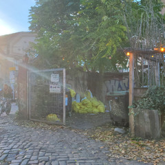 Gross Bisexual Rat Radio - 281025