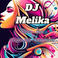 DJ Melika -  Want x Wrong Person (Mashup)
