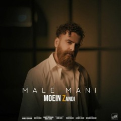 Moein Z - Male Mani