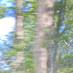 20200229 2 (Perfect Pitch)