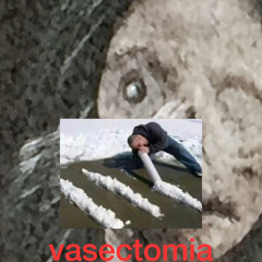 neve