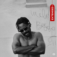 Wild Body II (Extended)