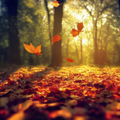 November