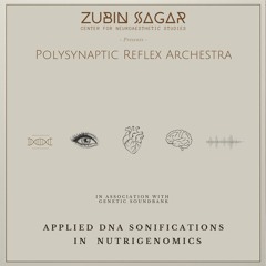 ZSCNS - Polysynaptic Reflex Archestra - Applied DNA Sonifications in Nutrigenomics - MTHFR [A]