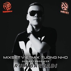 MIXSET VIETMIX TƯỞNG NHỚ DEEJAY PRODUCER RUM BARCADI X SUBINDEV MIX