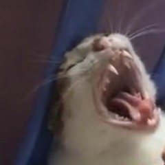 JUSTHIS, SWINGS, YANG HONGWON - PLEASE COME BACK ( FEAT. DBO)