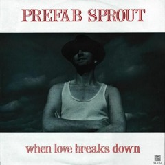 Prefab Sprout - When Love Breaks Down (Alkalino Rework)