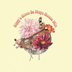 Siggy's House Music Mix Vol. 6 | Cinco De Mayo Vibes Vol. 2