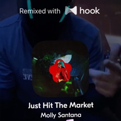 Molly Santana - Just Hit The Market (@vincerathead Hook Remix)
