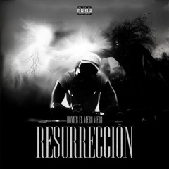 Homer El Mero Mero - Resurrección