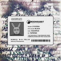 RABBIT RADIO: VIRGIL – SPRING 2024