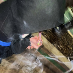 like a phantom (prod. crystalgems2002)