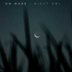 Night Owl
