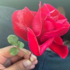 Tendencys (Prod. ‪@gohan_boy‬)