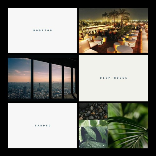 Rooftop | Tardeo