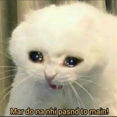 Aaha tamatar bade mazedaar vocal