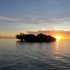 Oh Lady🇫🇲🌺💜