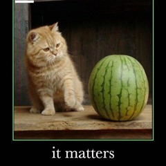 it matters