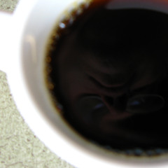 251220 - Self Reflection