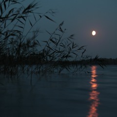 End Of The Day